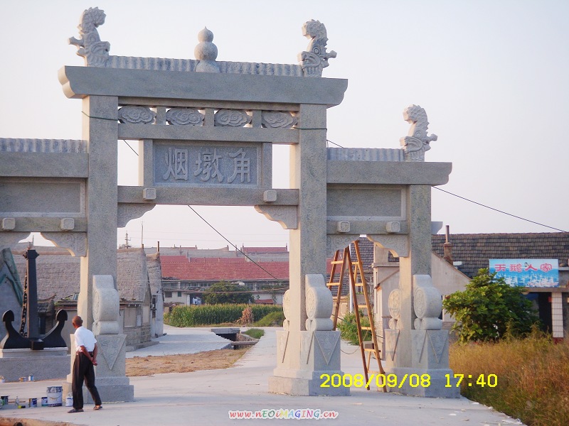 来俺山东拍天鹅