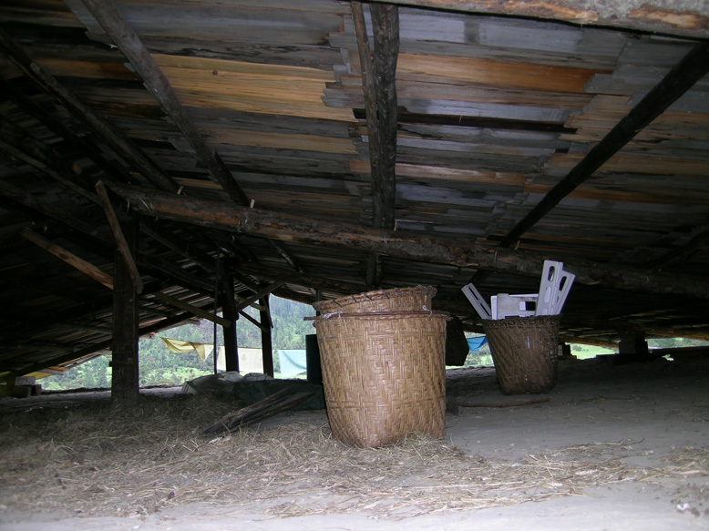 走进藏民家（车到林芝朗木林村）.JPG