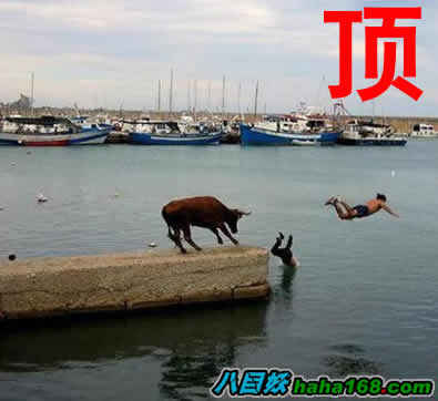 搞笑帖全集