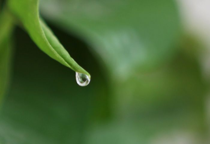 在家试机无敌兔
