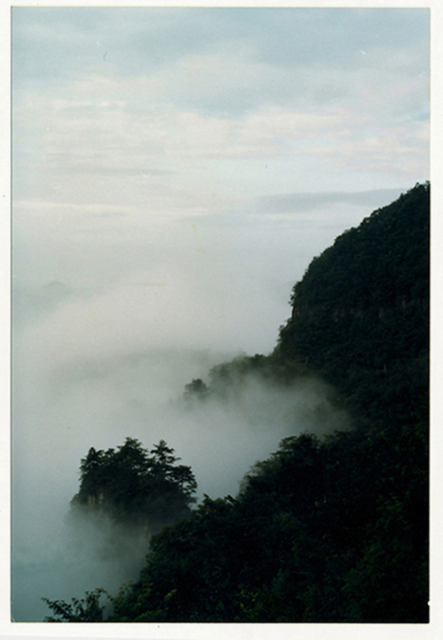 张家界天子山云海