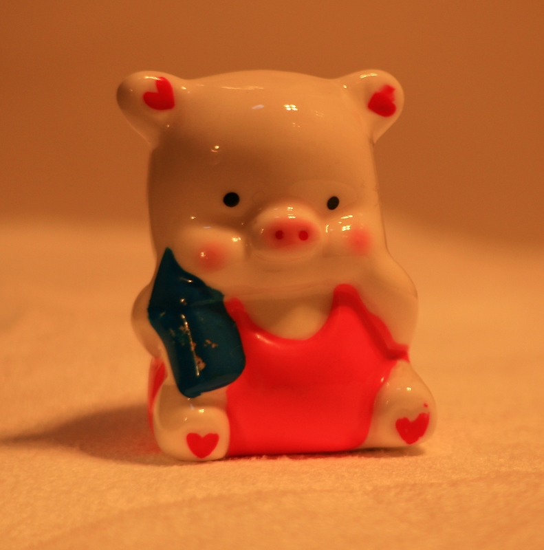试拍静物.2