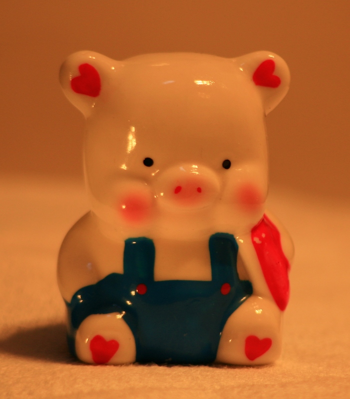 试拍静物.2