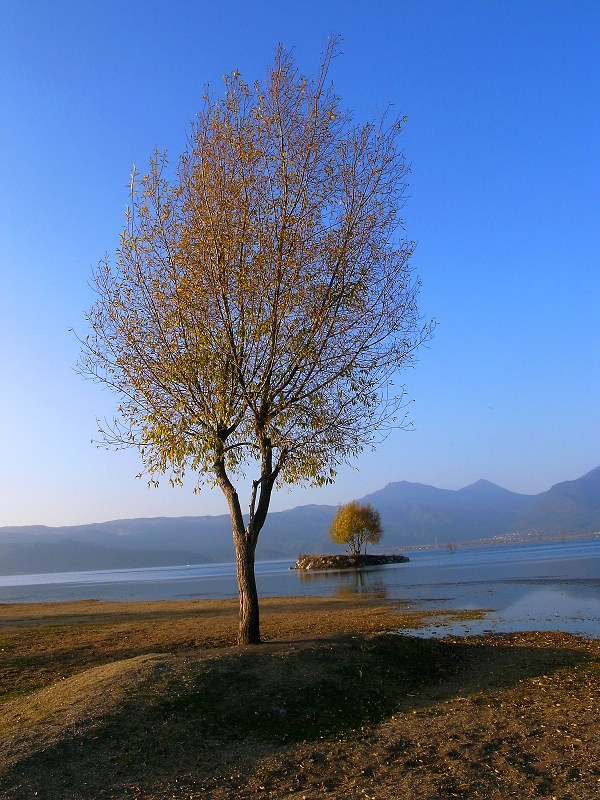 难忘梅里