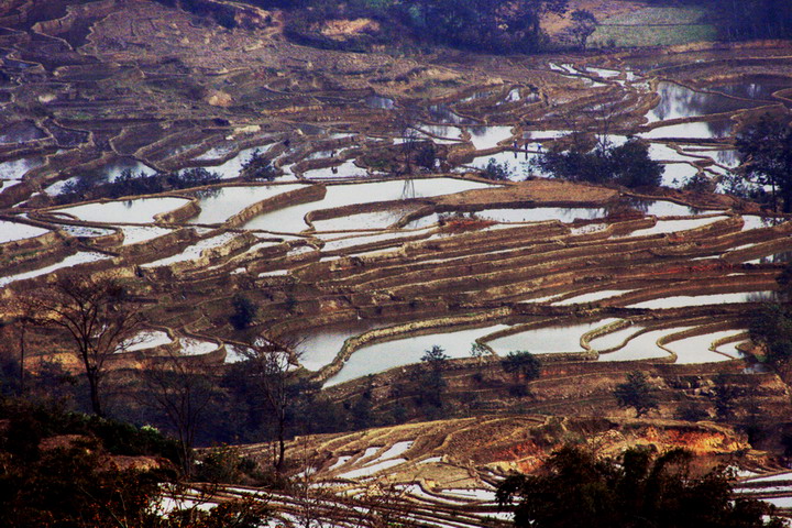 路过元阳