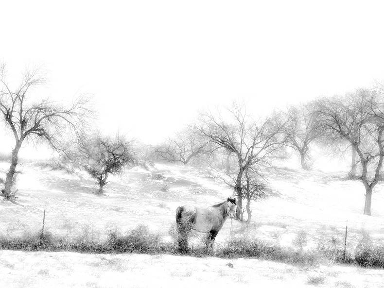内蒙雪景