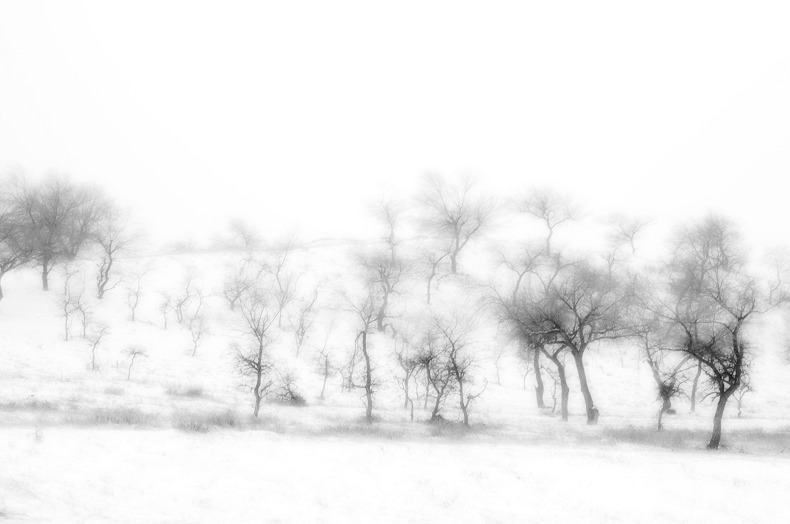 内蒙雪景