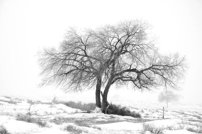 内蒙雪景