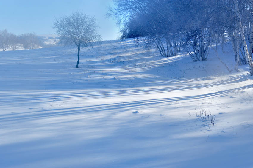 [原创]坝上冬景续