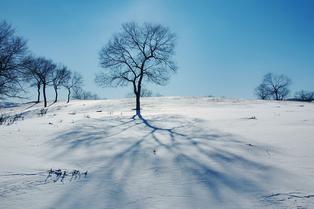 元旦坝上过（系列组图5/5—影韵）