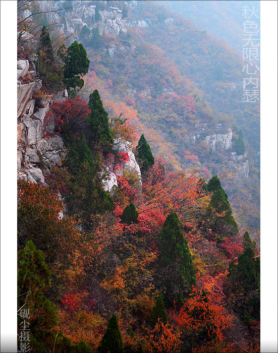 高秋图