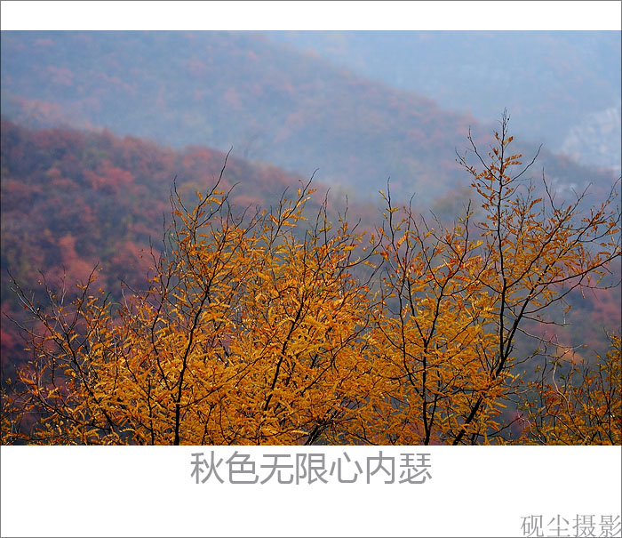 高秋图