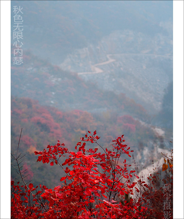 高秋图