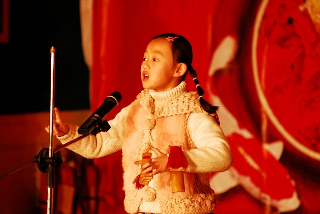 通信人“山寨版“2009迎春晚会