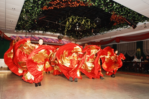 通信人“山寨版“2009迎春晚会