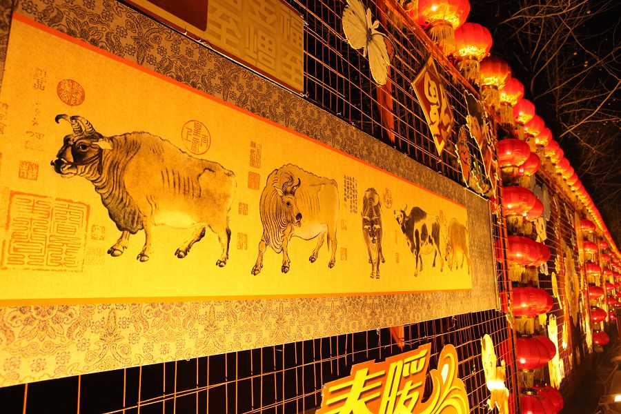 过年几张夜景图
