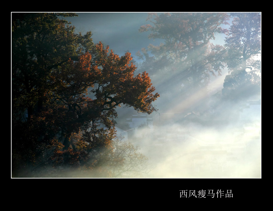 每日一片  天天更新