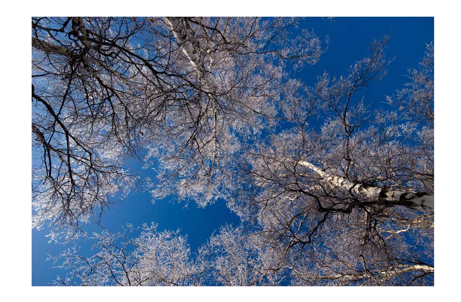 [原创]坝上雪景