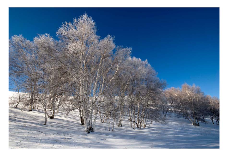 [原创]坝上雪景