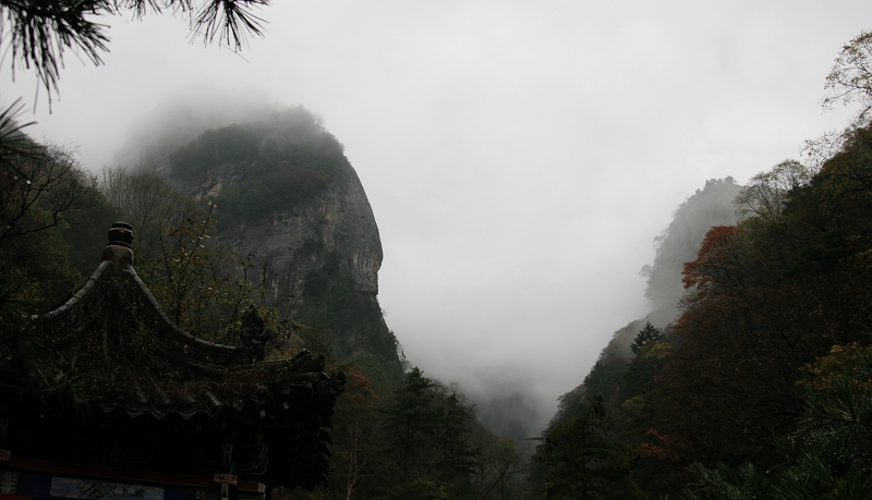雨雾云雀山.2