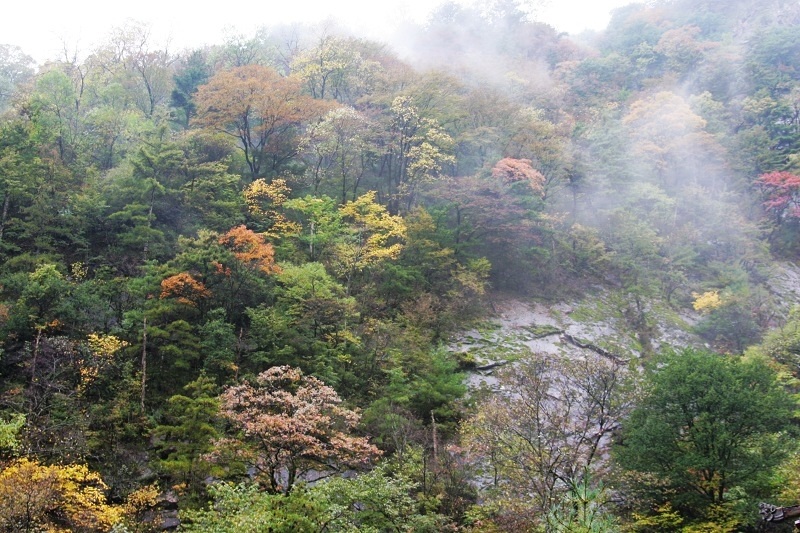雨雾云雀山.2
