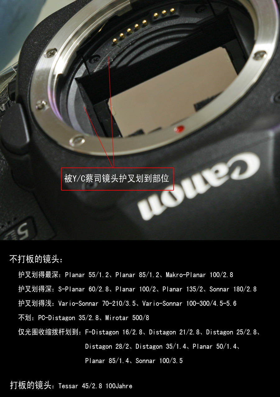终于拿到无敌兔