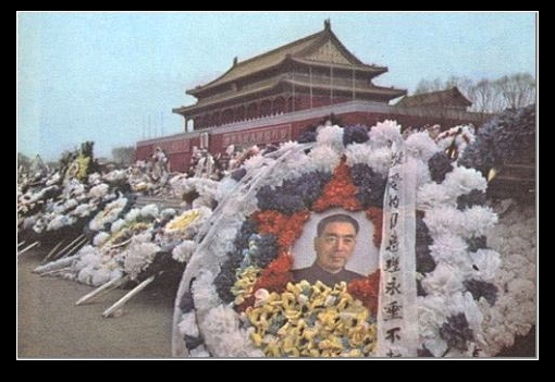 怀念!!!
