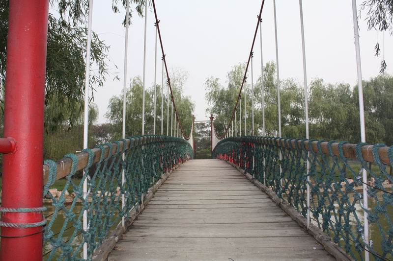 十一游