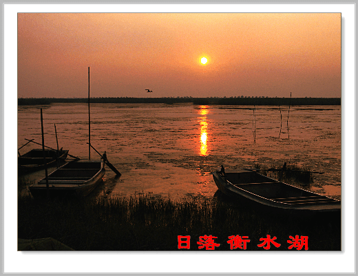 日落衡水湖
