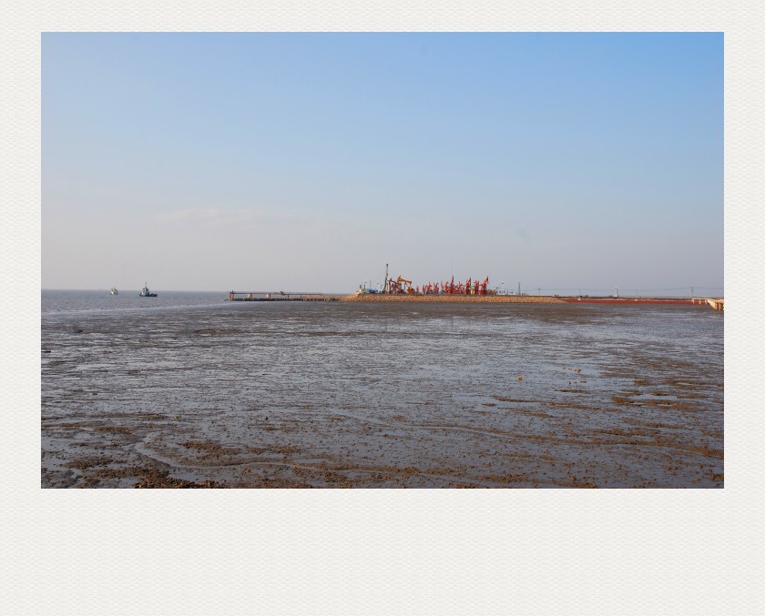 美丽辽河油田