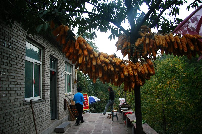 太行随拍