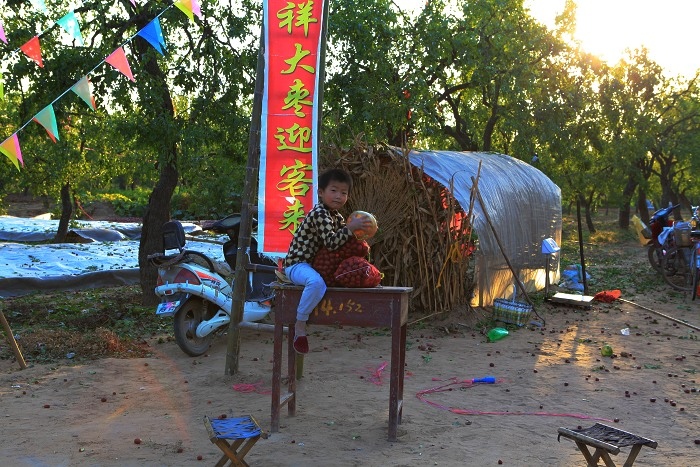 试机小片