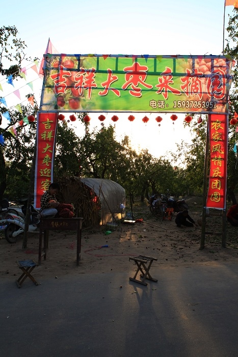 试机小片