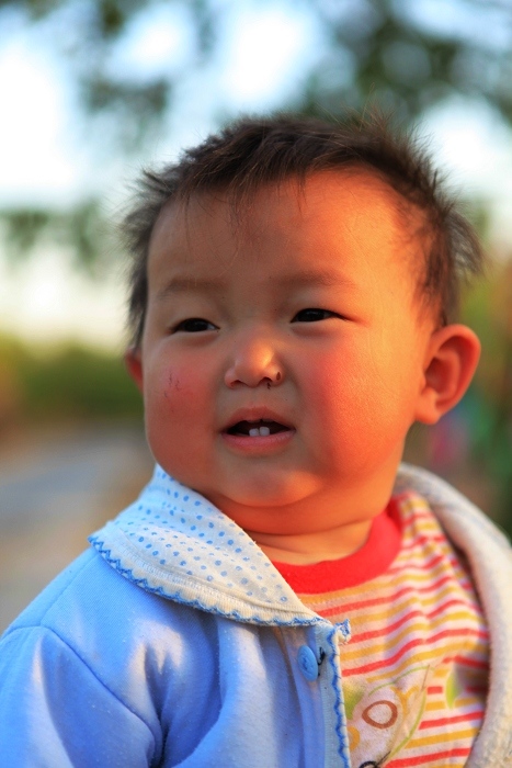 试机小片