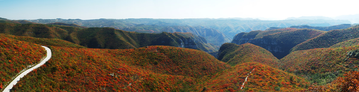 秋染靳家岭