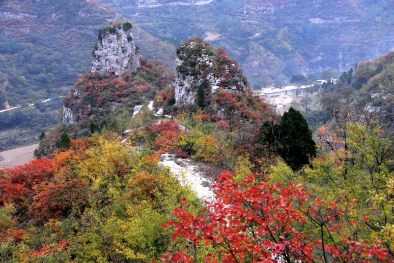 靳家岭红叶