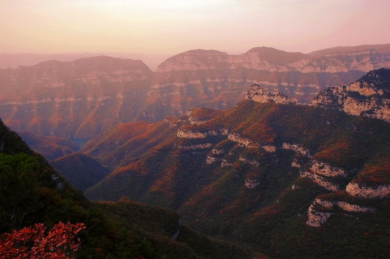 满山红叶