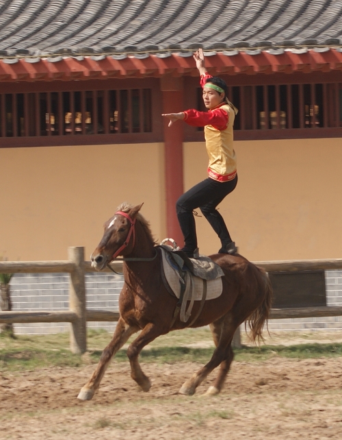 马术