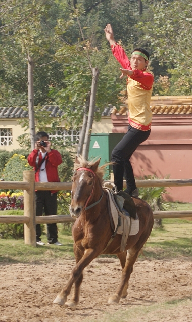 马术