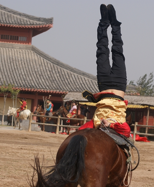 马术