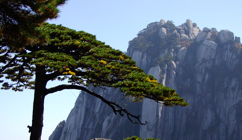 登黄山随拍