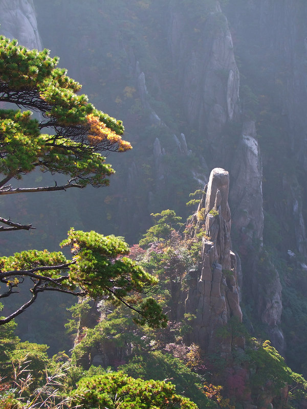 登黄山随拍