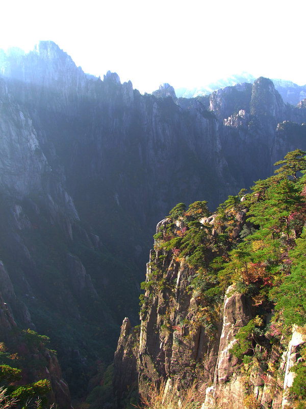登黄山随拍