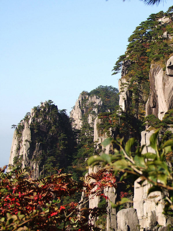 登黄山随拍