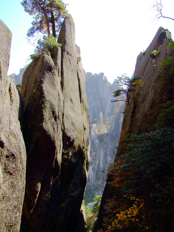 登黄山随拍