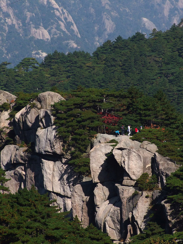 登黄山随拍