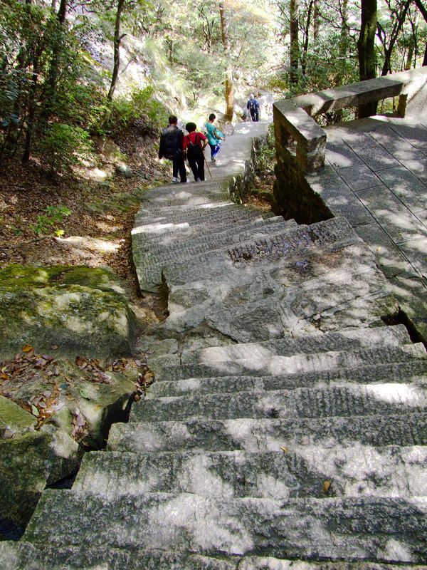 登黄山随拍