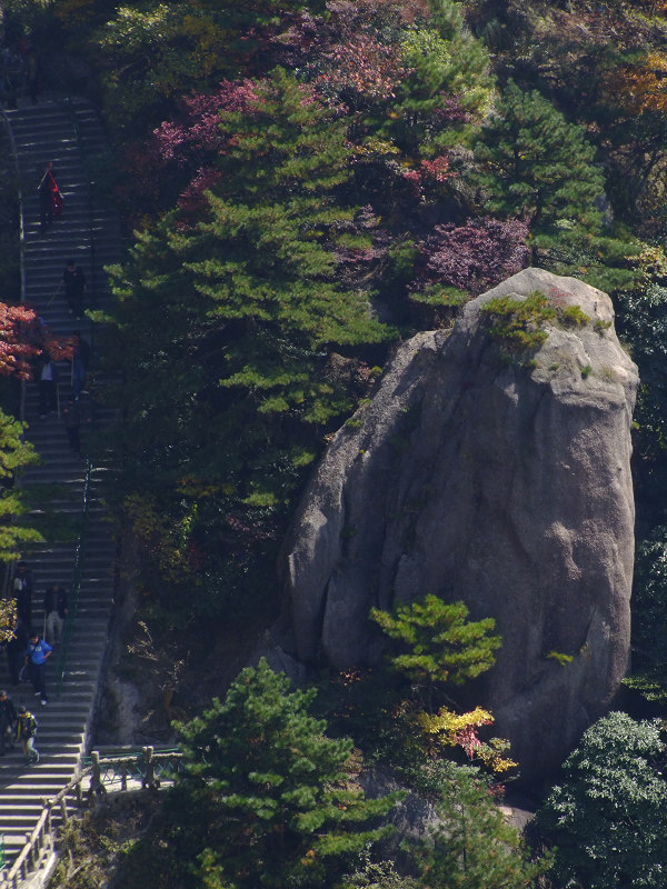 登黄山随拍