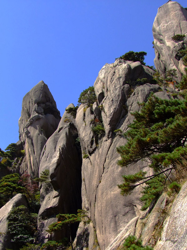 登黄山随拍