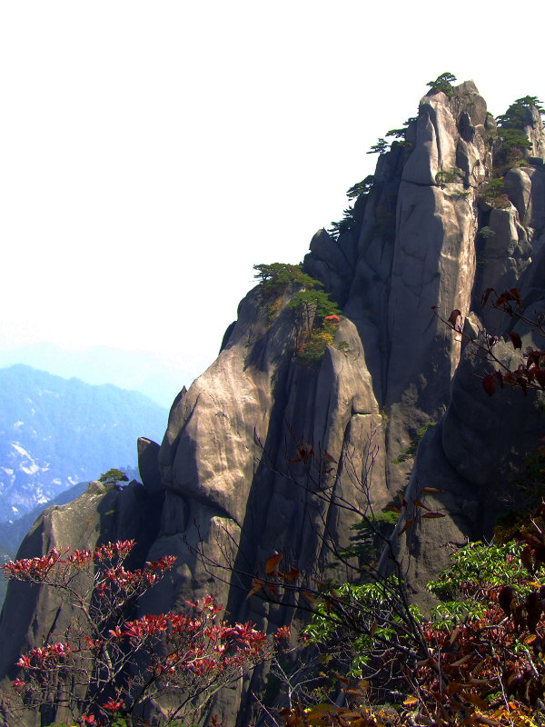 登黄山随拍